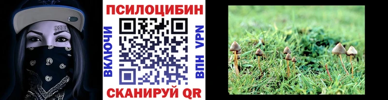 что такое   Галич  Галлюциногенные грибы ЛСД 